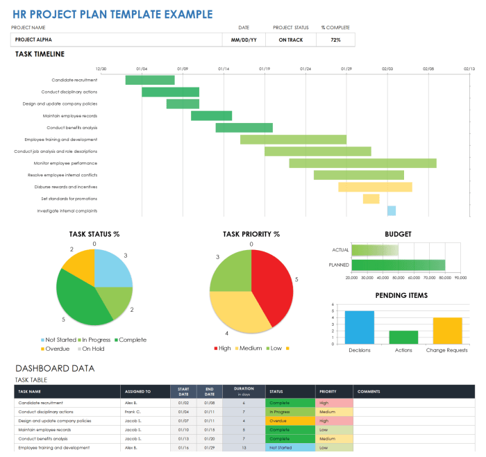 Hris Project Plan Template Hris Project Plan Template